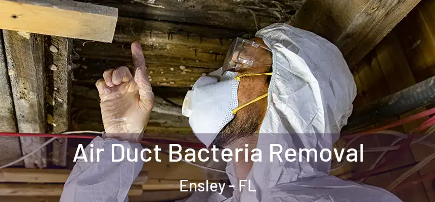 Air Duct Bacteria Removal Ensley - FL