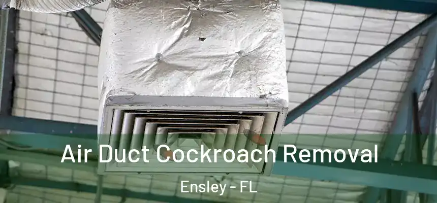 Air Duct Cockroach Removal Ensley - FL