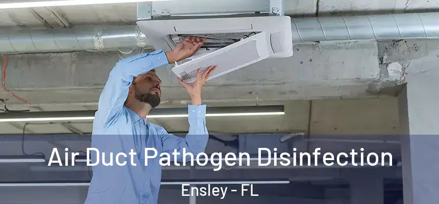  Air Duct Pathogen Disinfection Ensley - FL