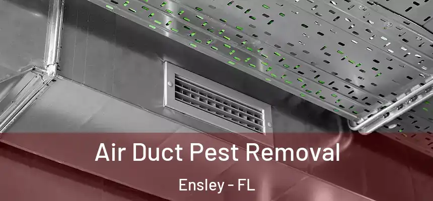 Air Duct Pest Removal Ensley - FL