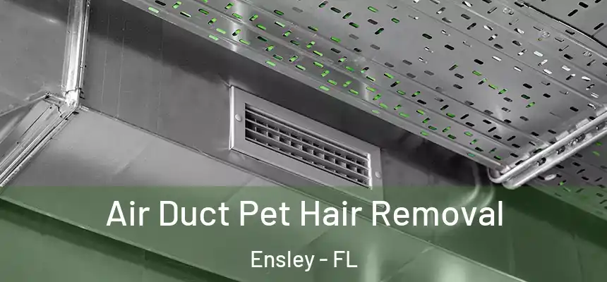 Air Duct Pet Hair Removal Ensley - FL