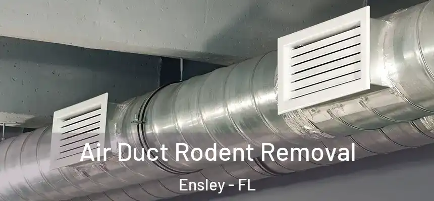 Air Duct Rodent Removal Ensley - FL