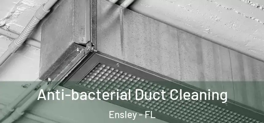 Anti-bacterial Duct Cleaning Ensley - FL