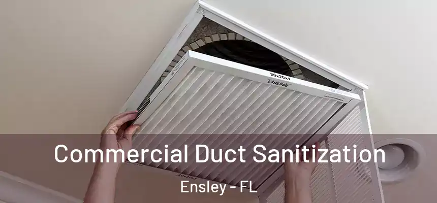 Commercial Duct Sanitization Ensley - FL