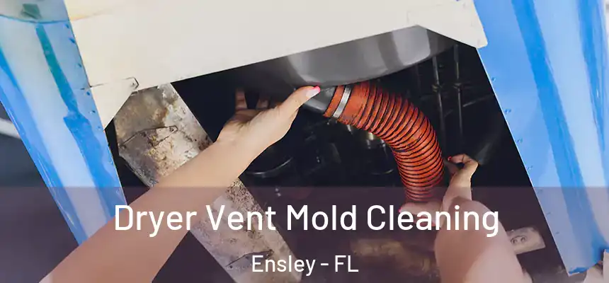 Dryer Vent Mold Cleaning Ensley - FL