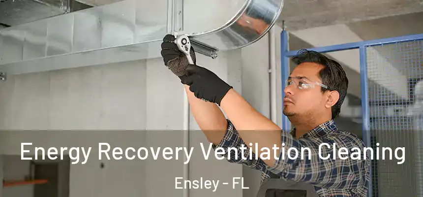 Energy Recovery Ventilation Cleaning Ensley - FL