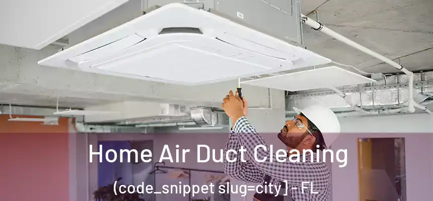  Home Air Duct Cleaning (code_snippet slug=city] - FL