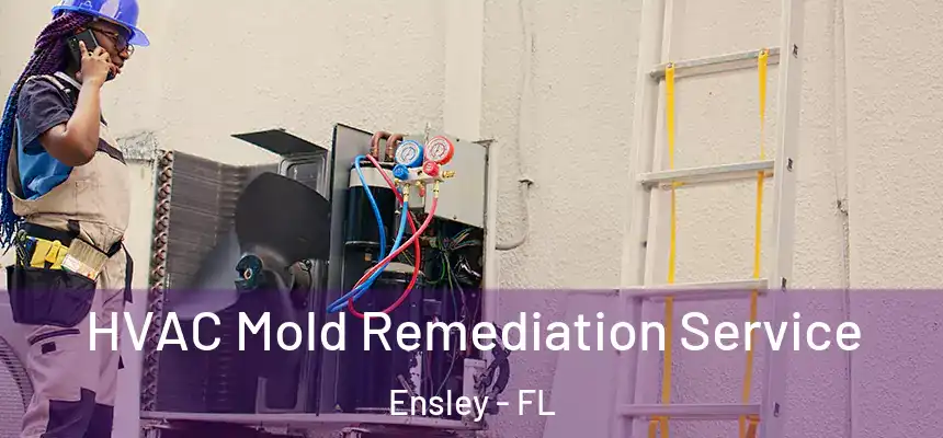 HVAC Mold Remediation Service Ensley - FL