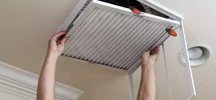 Preventive Cockroach-Proofing for Ducts in Ensley