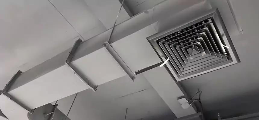 Restorative Allergy Relief Vent Cleaning – Coil, Blower & Housing Detail in Ensley