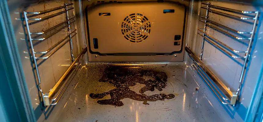 Our Dryer Vent Mold Cleaning Services in Ensley, FL