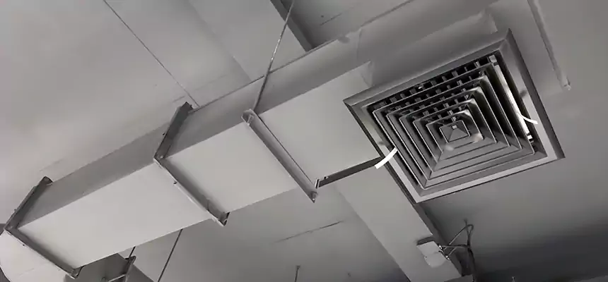 Our Pest Removal From Ducts Services in Ensley, FL