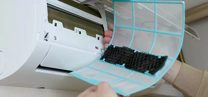 Gentle Ductwork Odor-Control Pet Dander Duct Cleaning in Ensley, FL