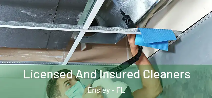 Licensed And Insured Cleaners Ensley - FL