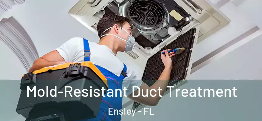Mold-Resistant Duct Treatment Ensley - FL