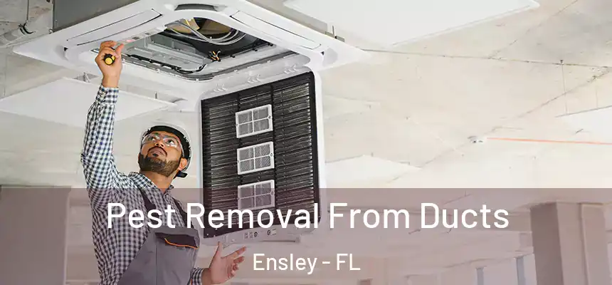Pest Removal From Ducts Ensley - FL
