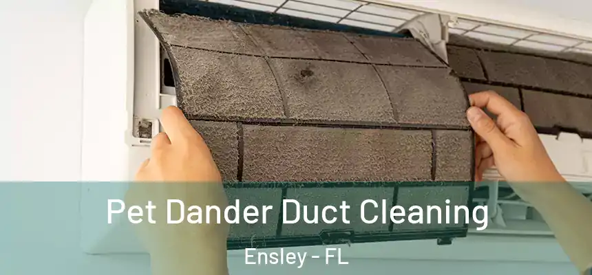Pet Dander Duct Cleaning Ensley - FL