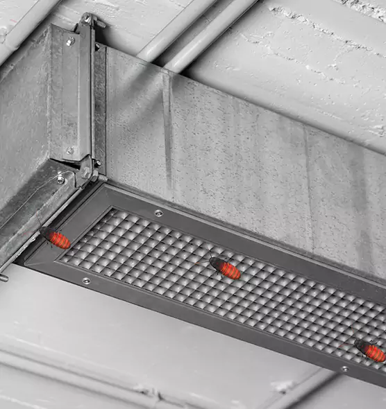 About Air Duct Cockroach Removal in Ensley, FL