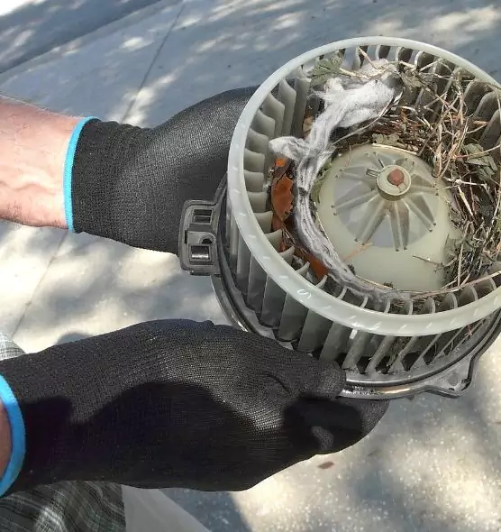 About Air Duct Mice Removal in Ensley, FL