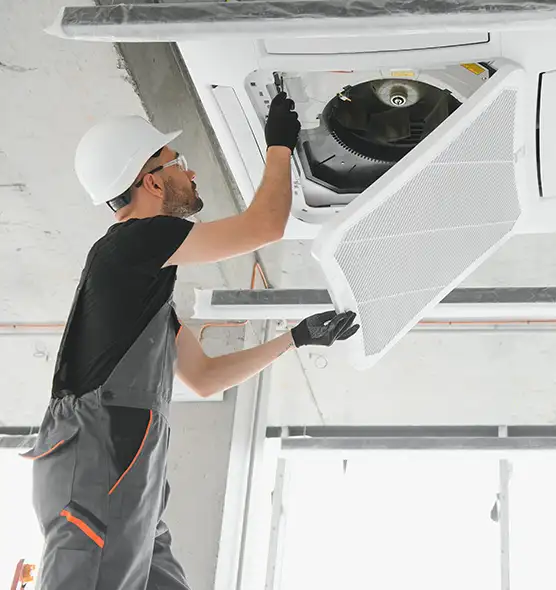 About Air Duct Rodent Removal in Ensley, FL