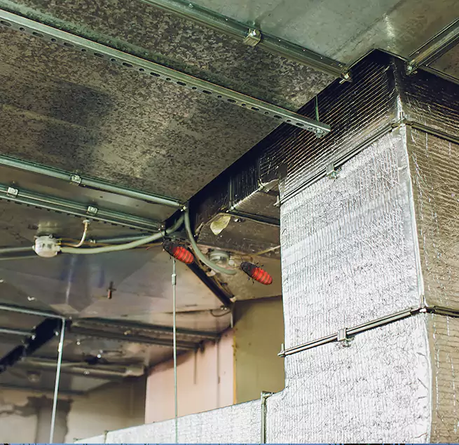 Why Homeowners & Businesses Trust Us in Ensley, FL?