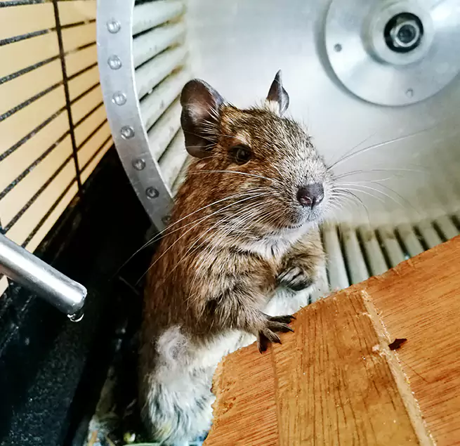 Why Homeowners & Businesses Trust Us Ensley, FL