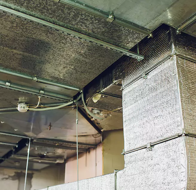 Why Homeowners & Businesses Trust Us in Ensley, FL?