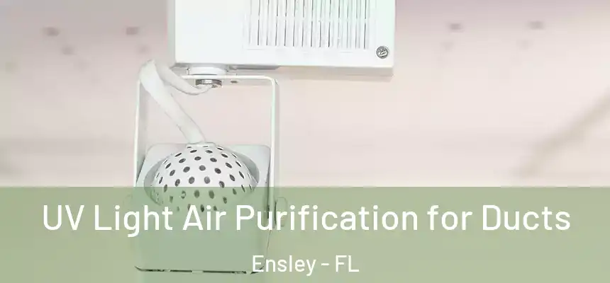 UV Light Air Purification for Ducts Ensley - FL