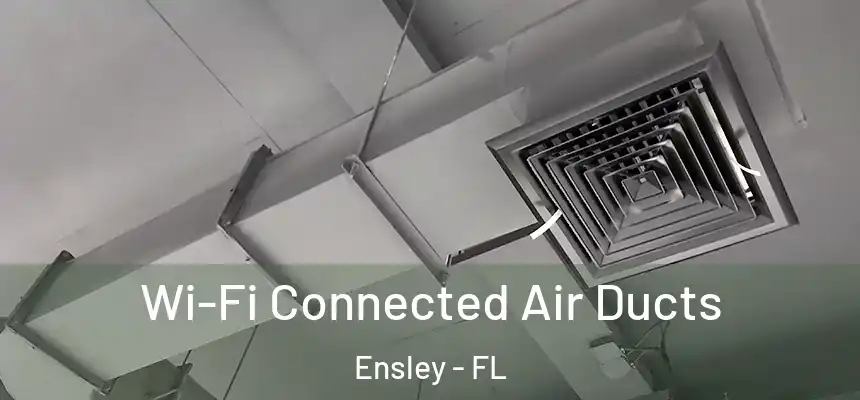 Wi-Fi Connected Air Ducts Ensley - FL